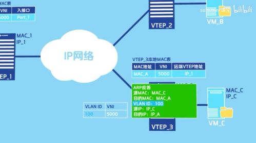 VXLAN通信原理及其在網(wǎng)絡(luò)與信息安全軟件開發(fā)中的應(yīng)用